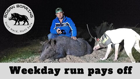 Weekday run pays off