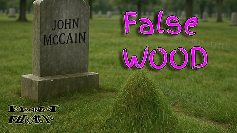 Planet Piracy 179: FALSE WOOD