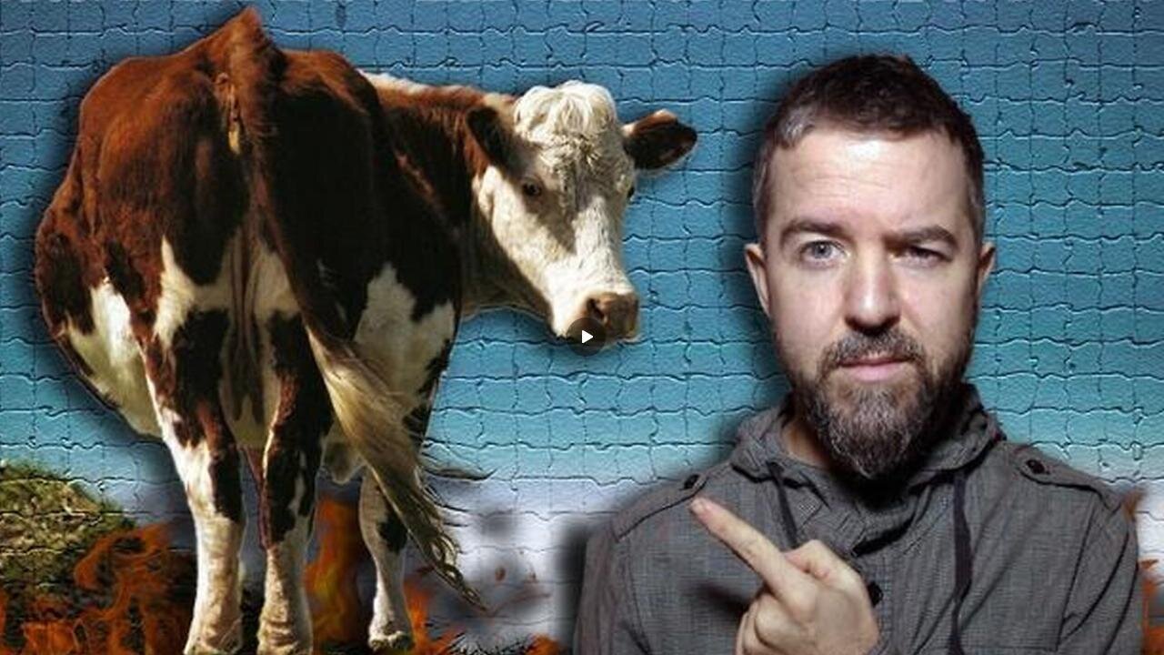 They’re Now BREEDING “LOW-METHANE” COWS that will be VACCINATED FOR BIRD FLU