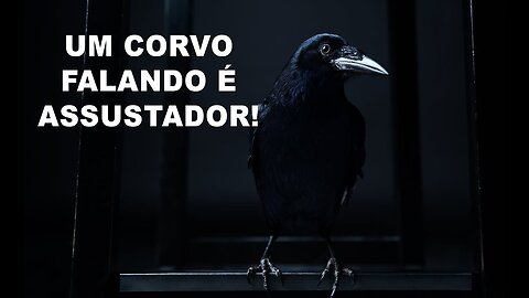 Como um CORVO SALVOU MINHA VIDA!