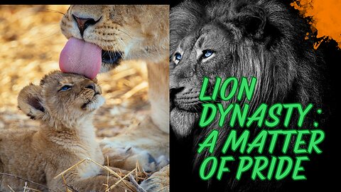 Savannah’s Ruler| The Untold Story of the Lion’s Kingdom