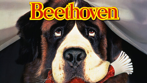 What Ever Happened To Beethoven of The Beloved Movie Series ?