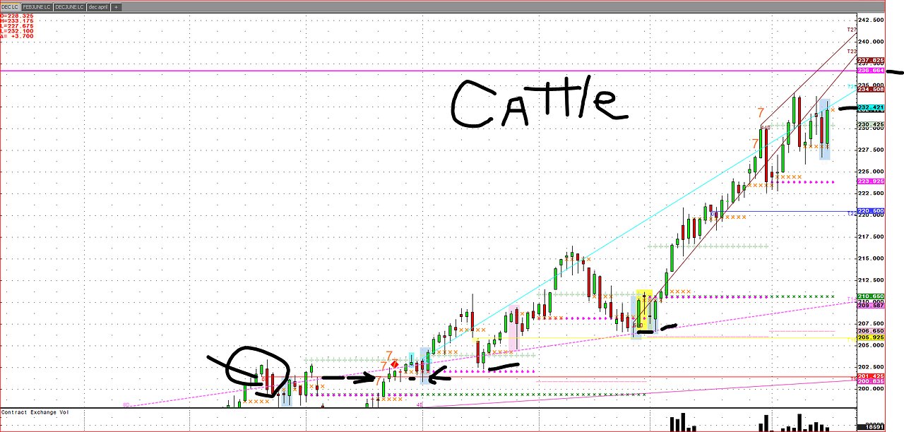 Aug16 Cattle CME Margin changes, Pay attention Screwworms