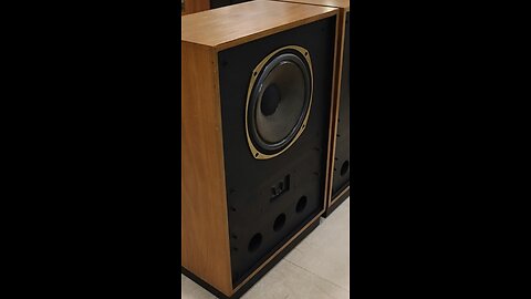Tannoy Arden 3828 Speaker