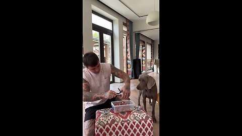 Dog prefer food first 😊