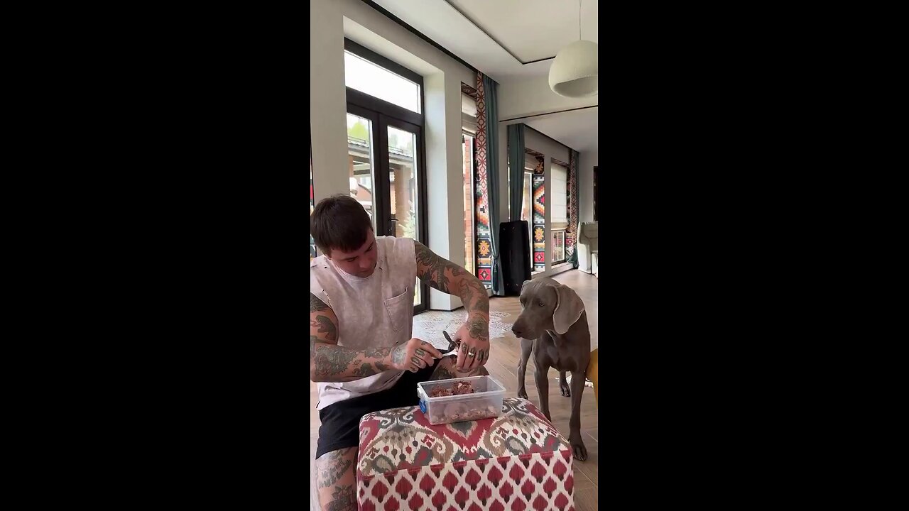 Dog prefer food first 😊
