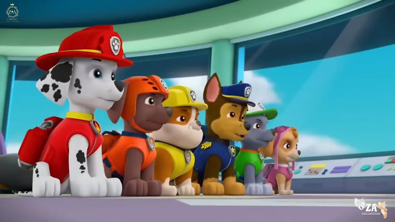PAW Patrol Cartoons