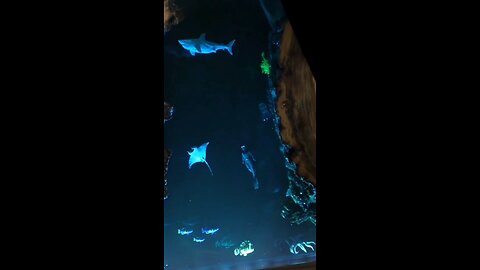 This special decoration can win everyone's heart.