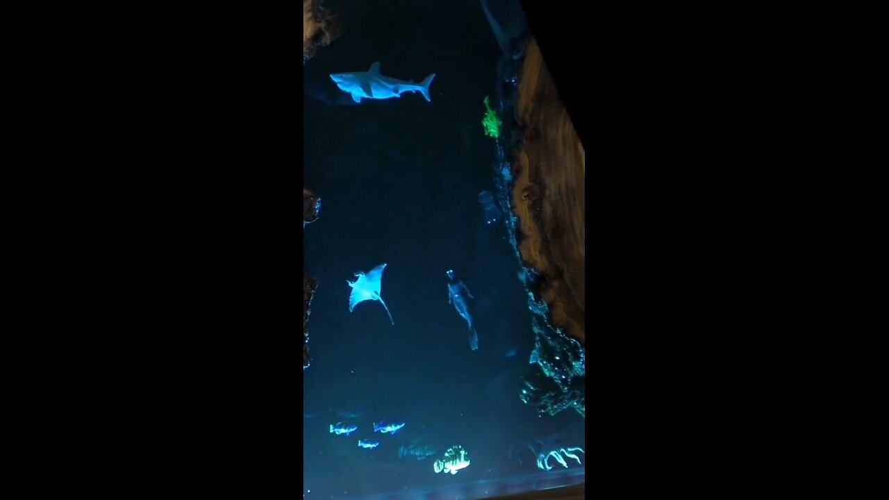 This special decoration can win everyone's heart.