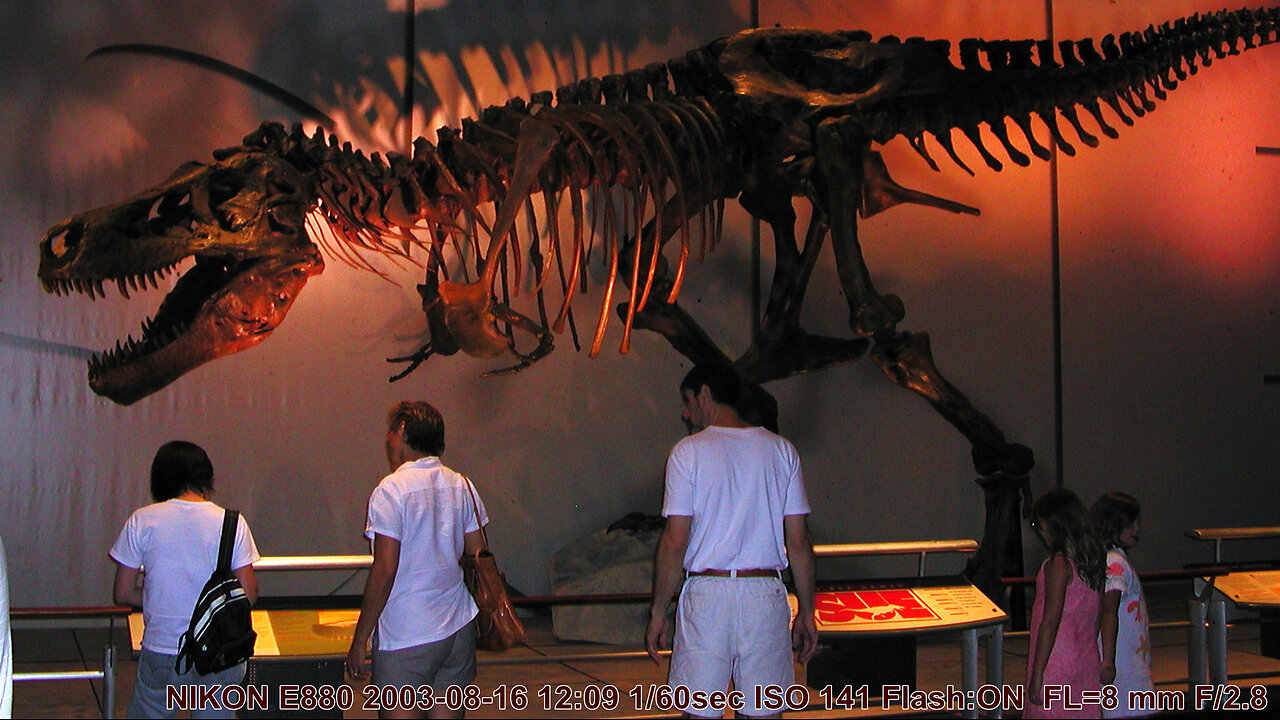 T-REX NAMED SUE