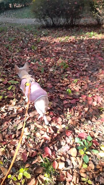 20251115. God made the world.