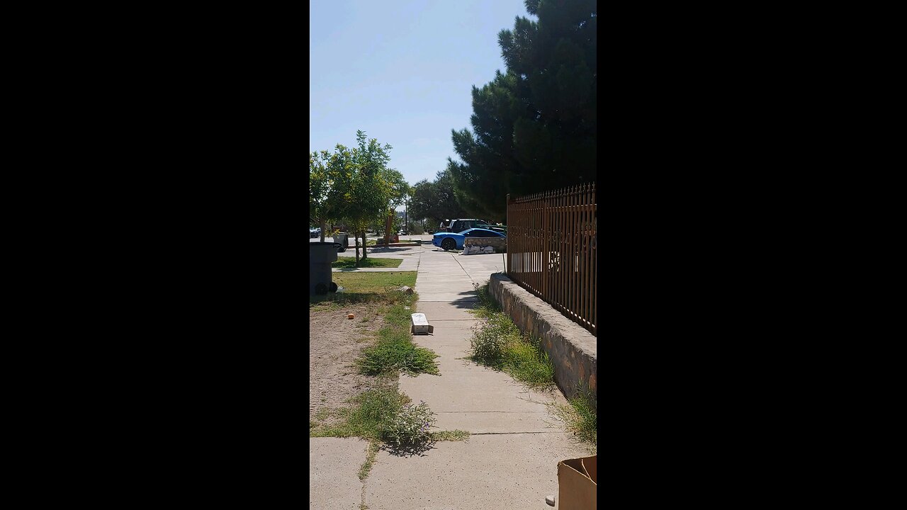 Daily Walk Part 3