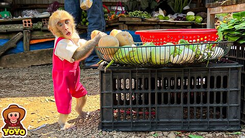 Monkey YiYi buys potatoes to cook Un In's favorite dish