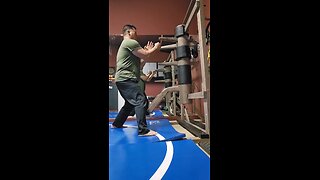 WTD Wooden Dummy Combination 7