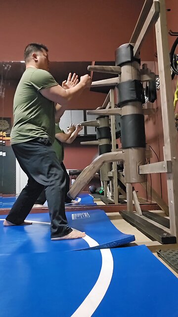 WTD Wooden Dummy Combination 7