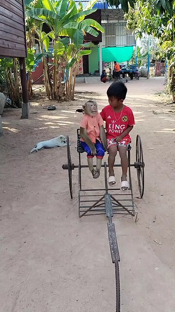 Amazing Best SokYalla, OG, Pao & Mom Are Famous Job Best SokYaa, OG, Pao & Mom Are Famous Around Th