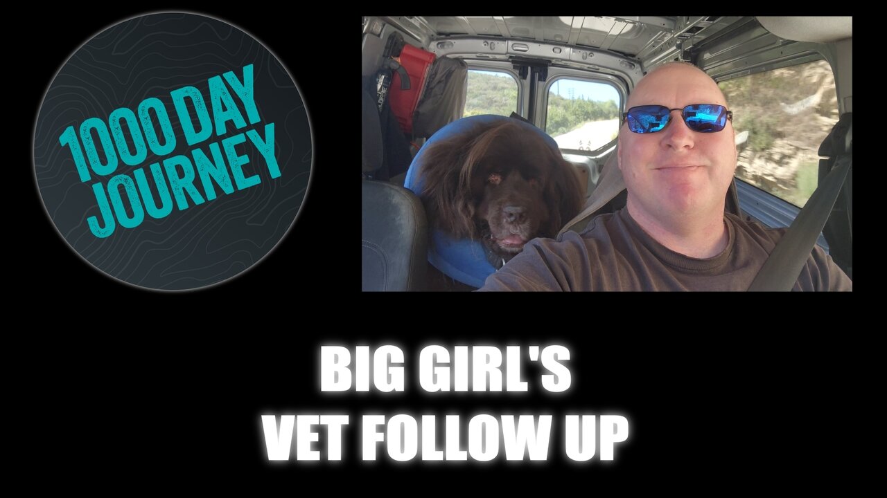 1000 Day Journey 0662 Big Girl's Vet Follow Up
