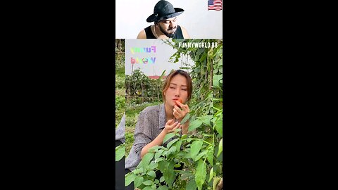 funny reaction 145