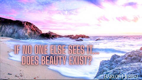 Beauty without Proof