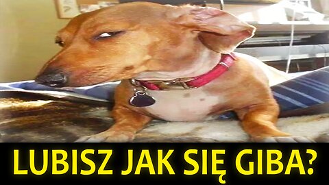 NEYO lubi jak się giba... A TY?