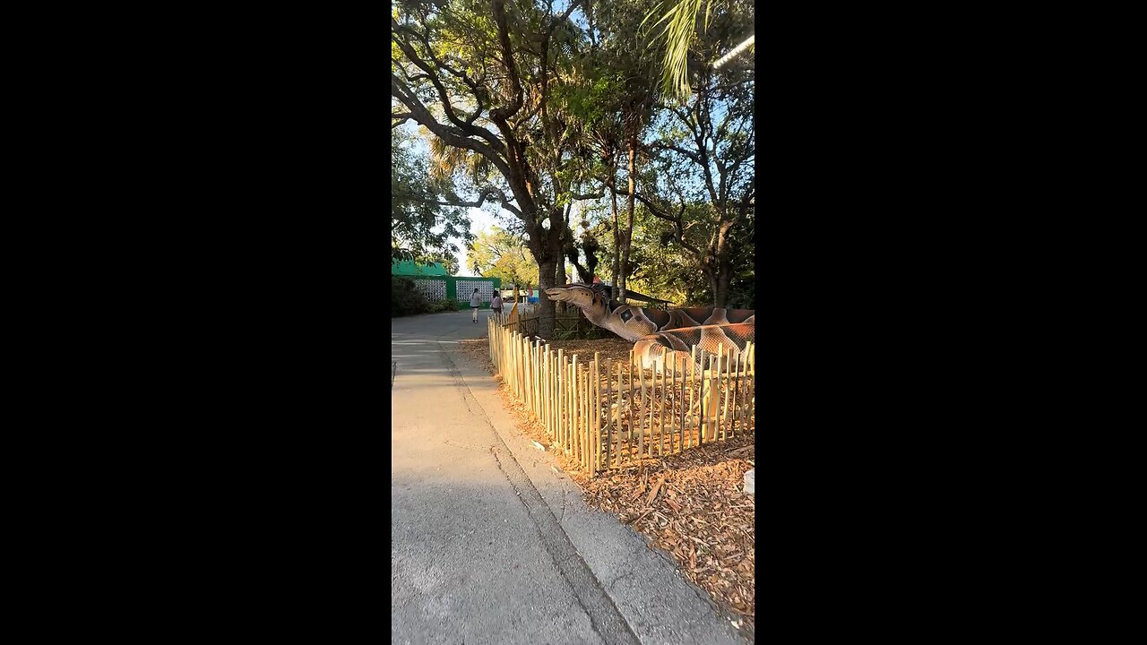 zoo