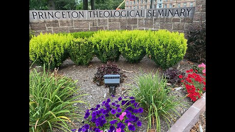 When the Church Hurts the Widow: The Story of Dena Arrison