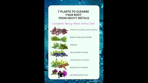 These herbs will help you heal your guts...