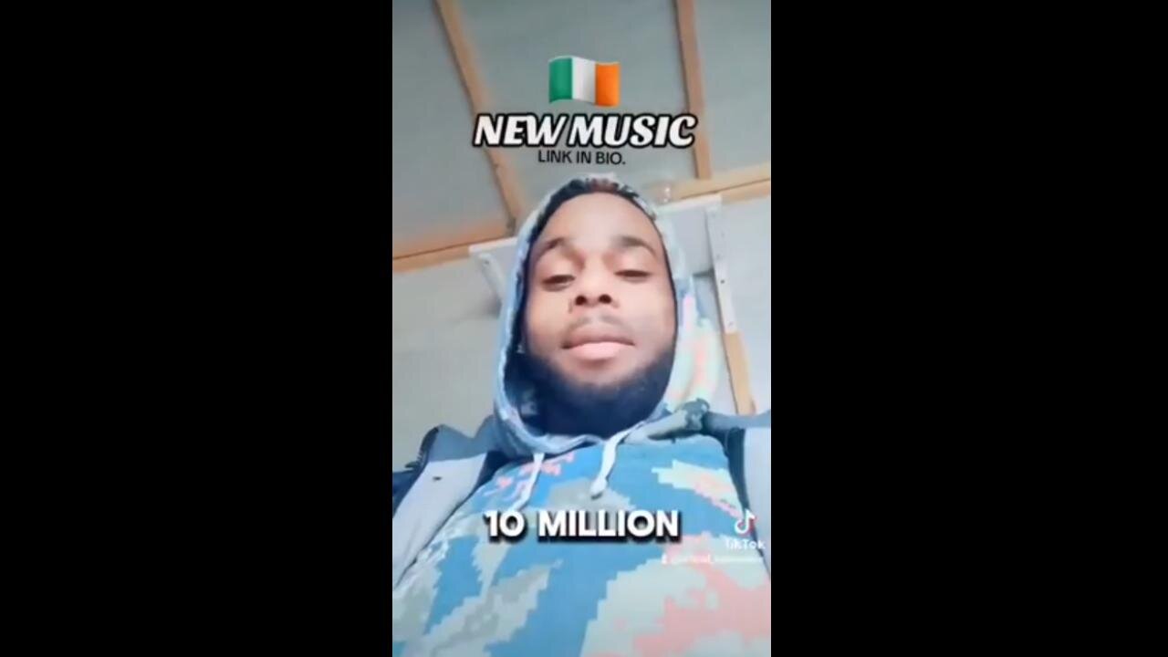 DEPORT THEM ALL! "Ireland needs more migrants, get everything that moves pregnant"