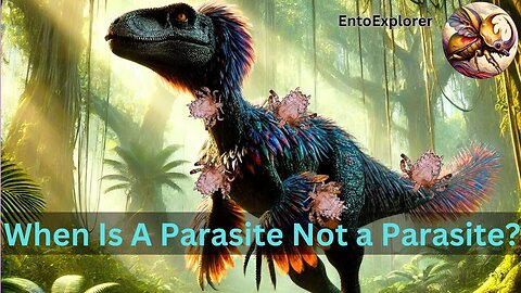 The Mystery of the Dinosaur Lice In Amber