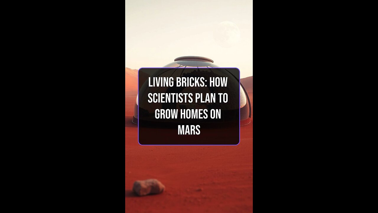 Living Bricks: How Scientists Plan to Grow Homes on Mars