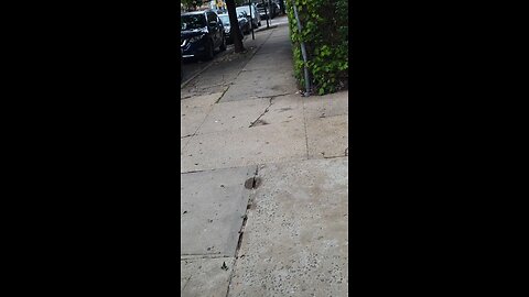 The NY Predators Dept officers engaging in stalking and noise attacks using their sirens.