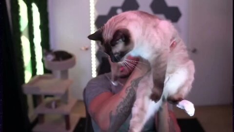 LowTierGod Shows His Cat Cryo On Stream [Chroma Reupload]