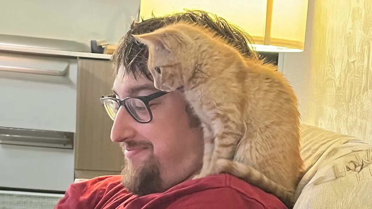 Looking After Humans Is a Never Ending Job of CAT 😹