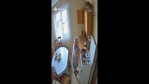 Oh those cats #sora2