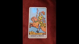 The Tarot Card of The Day: The Knight of Wands