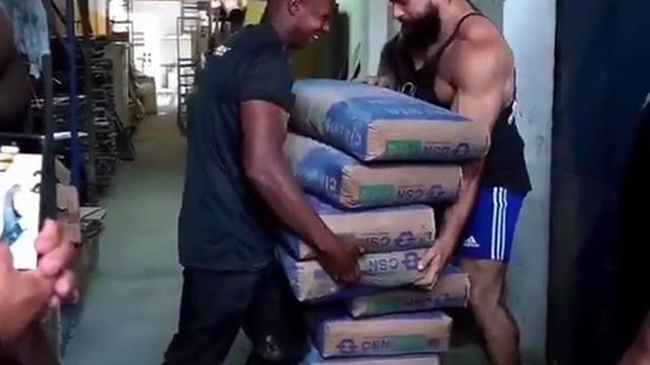 Strength of a manual worker vs bodybuilders