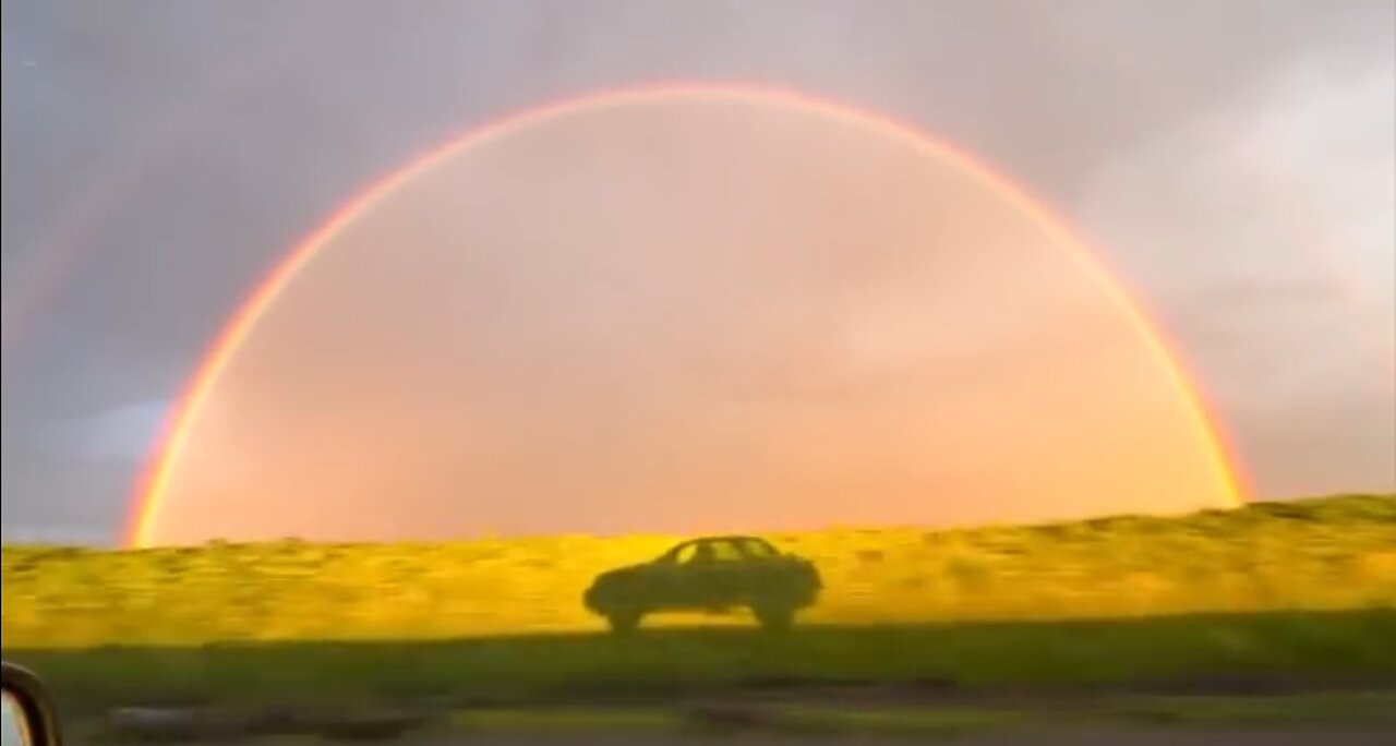 Your Daily Dose Of Internet