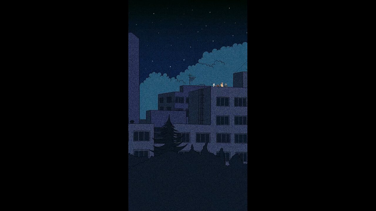 cat 🐈😺 fun videos 😁