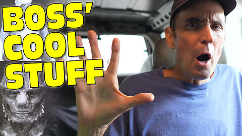 Reptilian Boss’ Cool Stuff