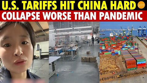 U S Tariffs Hit Hard, China Economy COLLAPSING