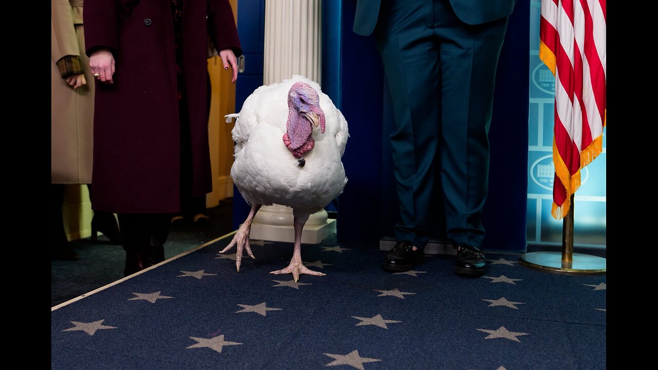 BASTE The TURKEY [F.I.G. 8] LIVE 5:40pm Chat With SpaceyCasey82