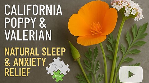 California Poppy & Valerian: Natural Sleep & Anxiety Relief