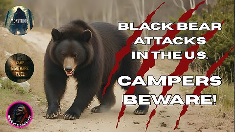 Camp Nightmare Fuel: Black Bear Attacks in the US
