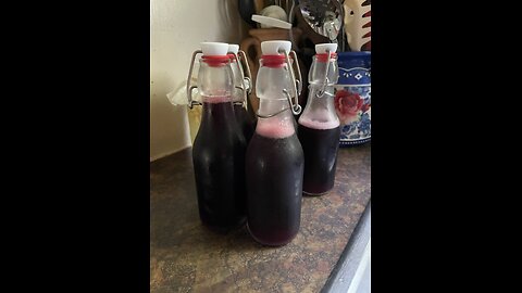 Ginger Bug, and Homemade Soda