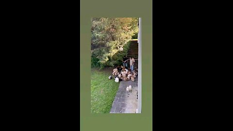 खुबसूरत विडिओ