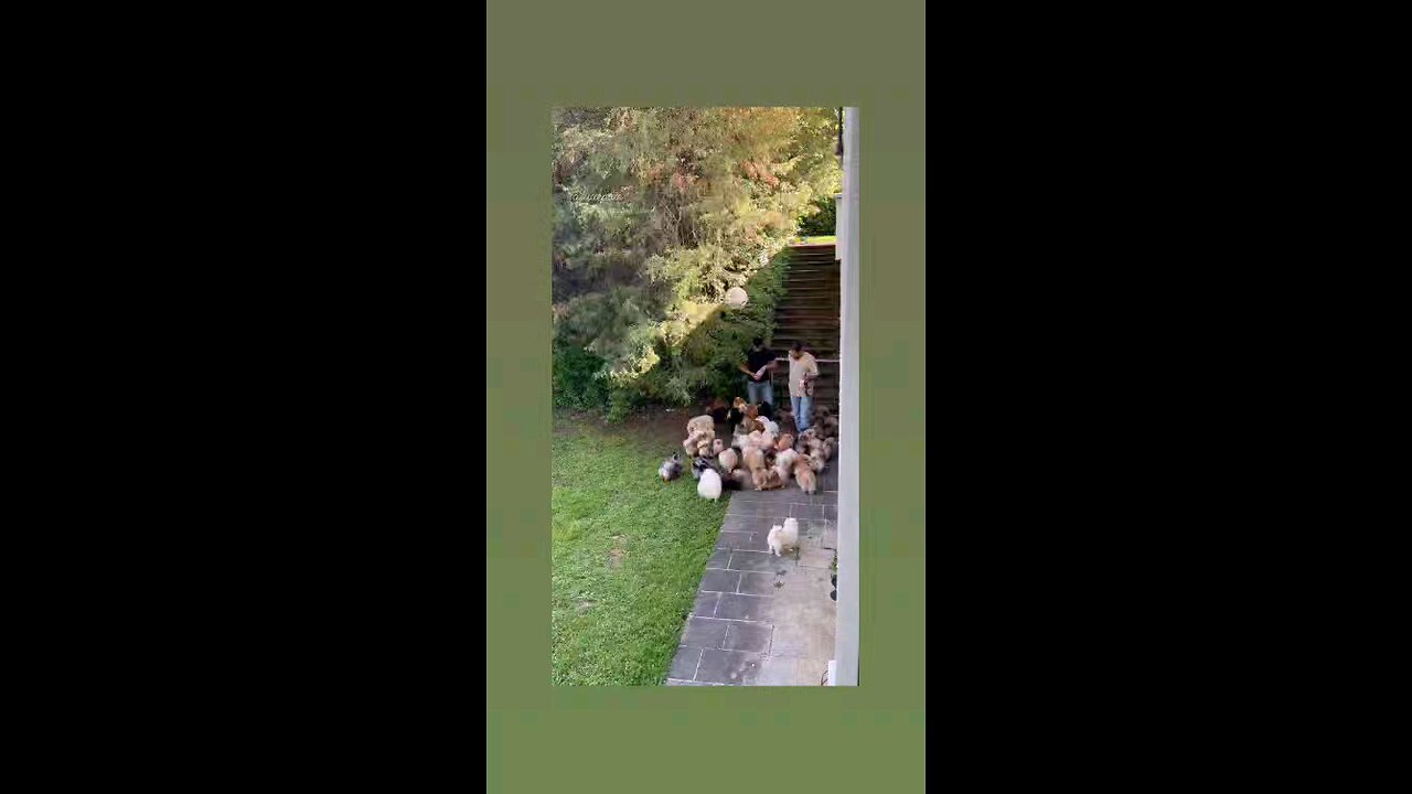 खुबसूरत विडिओ