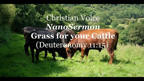 NANOSERMON: Grass for your cattle by Stephen Green