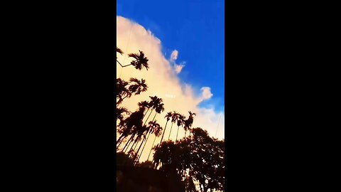 Tranding video.... #viralsvideo #viralshorts #shortsvirls #shorts #trandingvideo #Rumbelshorts