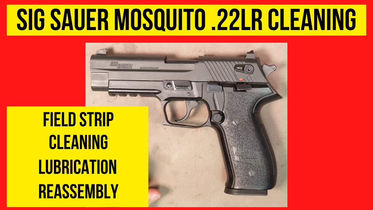 SIG SAUER MOSQUITO Cleaning & Lubrication. EASY Step-by-Step