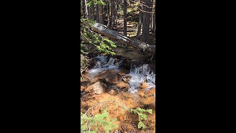Colorado
